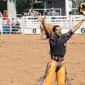 Devin: Building Confidence