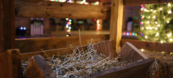 PHOTOS: Boys Ranch homes adorned with festive Christmas lights; alumni judge youths’ efforts