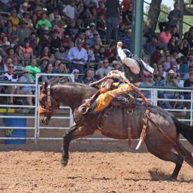 Boys Ranch youth to compete in Junior National Finals Rodeo in Las Vegas