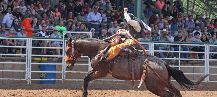 Boys Ranch youth to compete in Junior National Finals Rodeo in Las Vegas