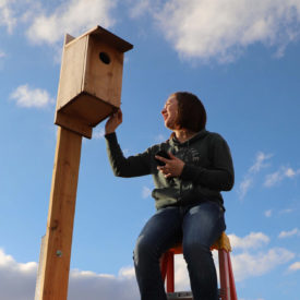 Boys Ranch youth participating in national hawk conservation program