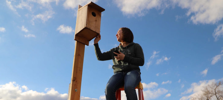 Boys Ranch youth participating in national hawk conservation program