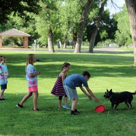 Boys Ranch earns expedited four-year accreditation