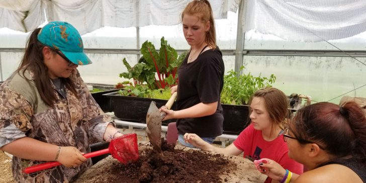 Worms play key role at community garden