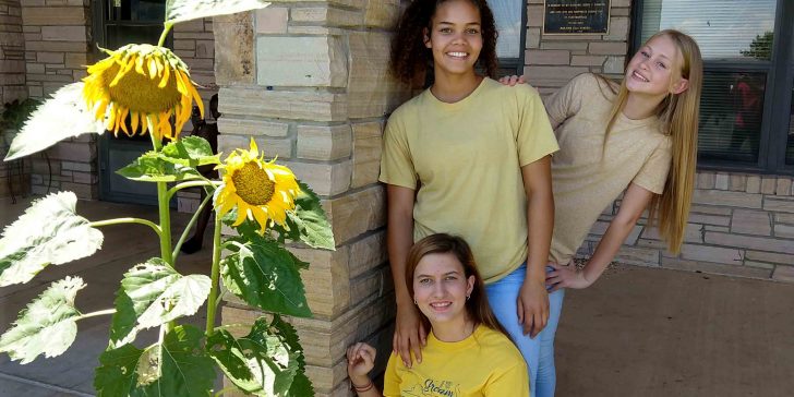 Sunflowers remind Romersi home residents of special donor