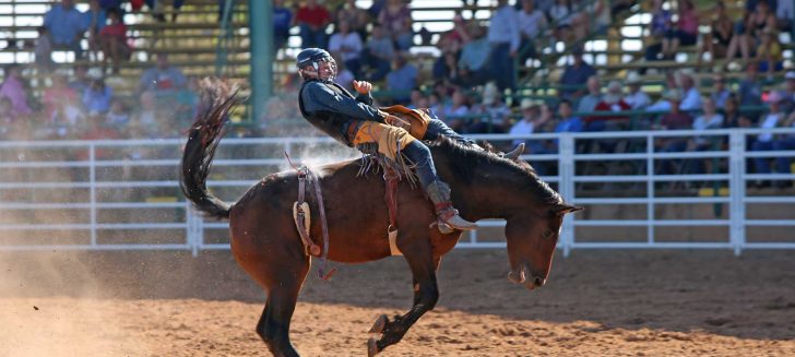 75th Annual Boys Ranch Rodeo one for the history books