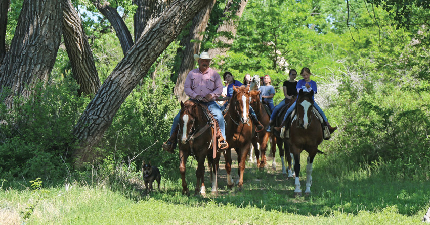 Horse Rides