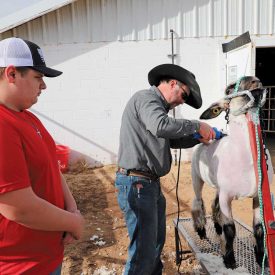 A barn raising for a great cause
