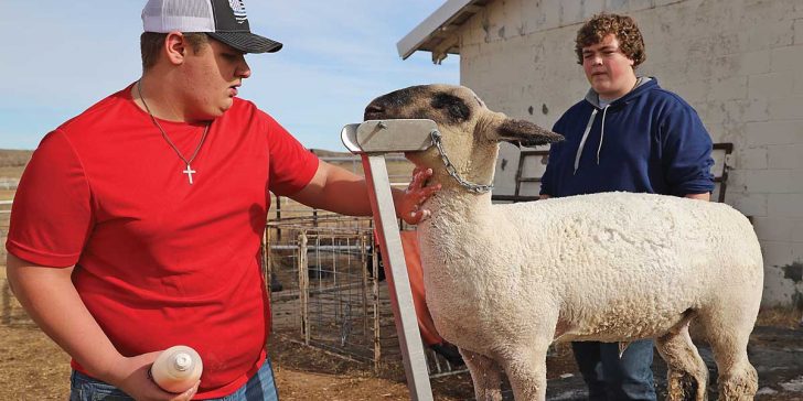 Boys Ranch and FFA —Staying true to the blue and gold