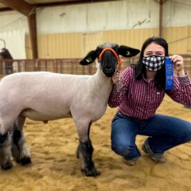 Boys Ranch FFA brings home the pride from Oldham County Stock Show