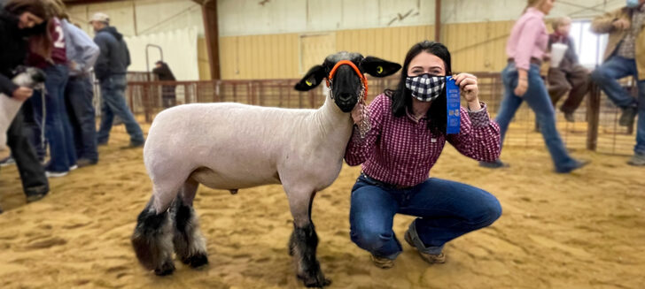 Boys Ranch FFA brings home the pride from Oldham County Stock Show