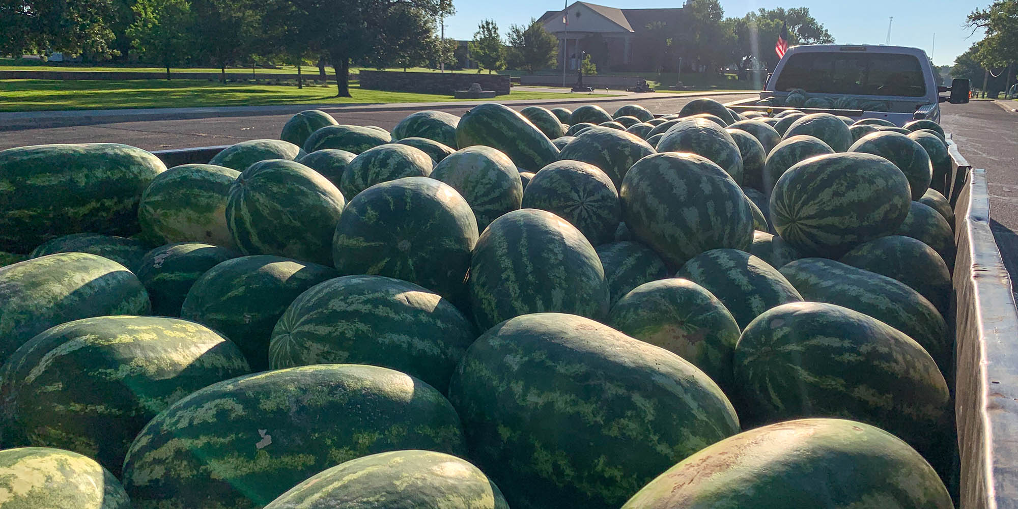 Trailer full of watermelons