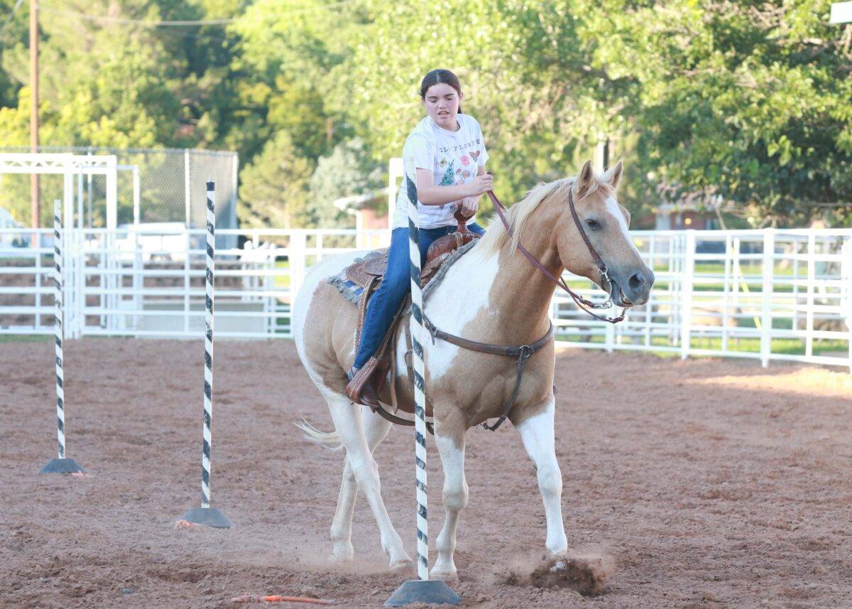 Alina practices riding a palomino Paint horse through a pole bending pattern.